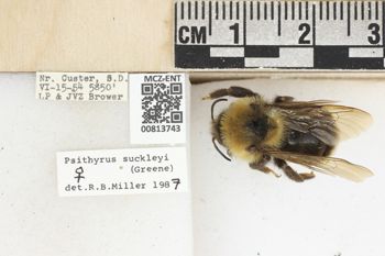 Media type: image;   Entomology 813743 Aspect: labels